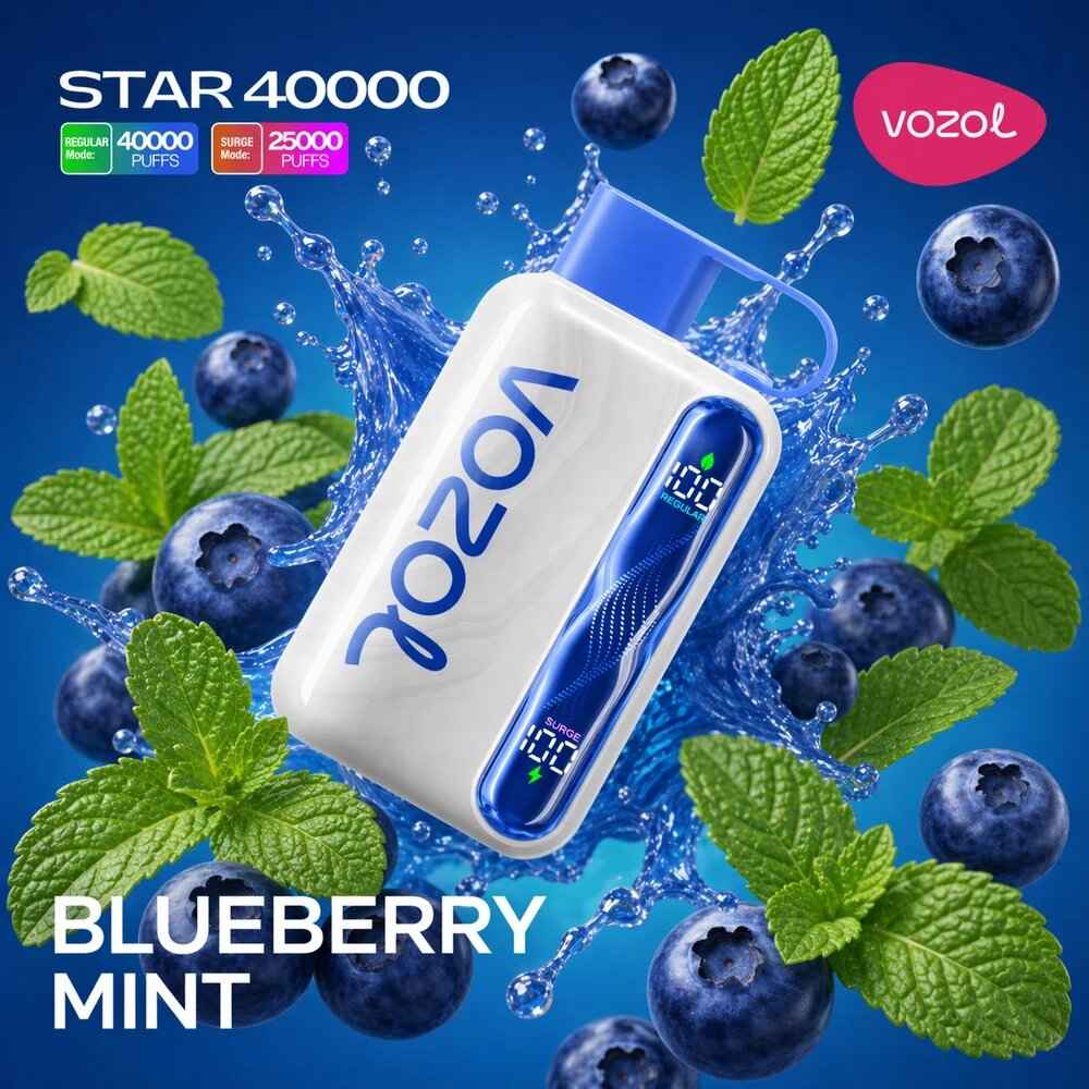 Vozol Star 40k – Blueberry Mint - Zero Vapes